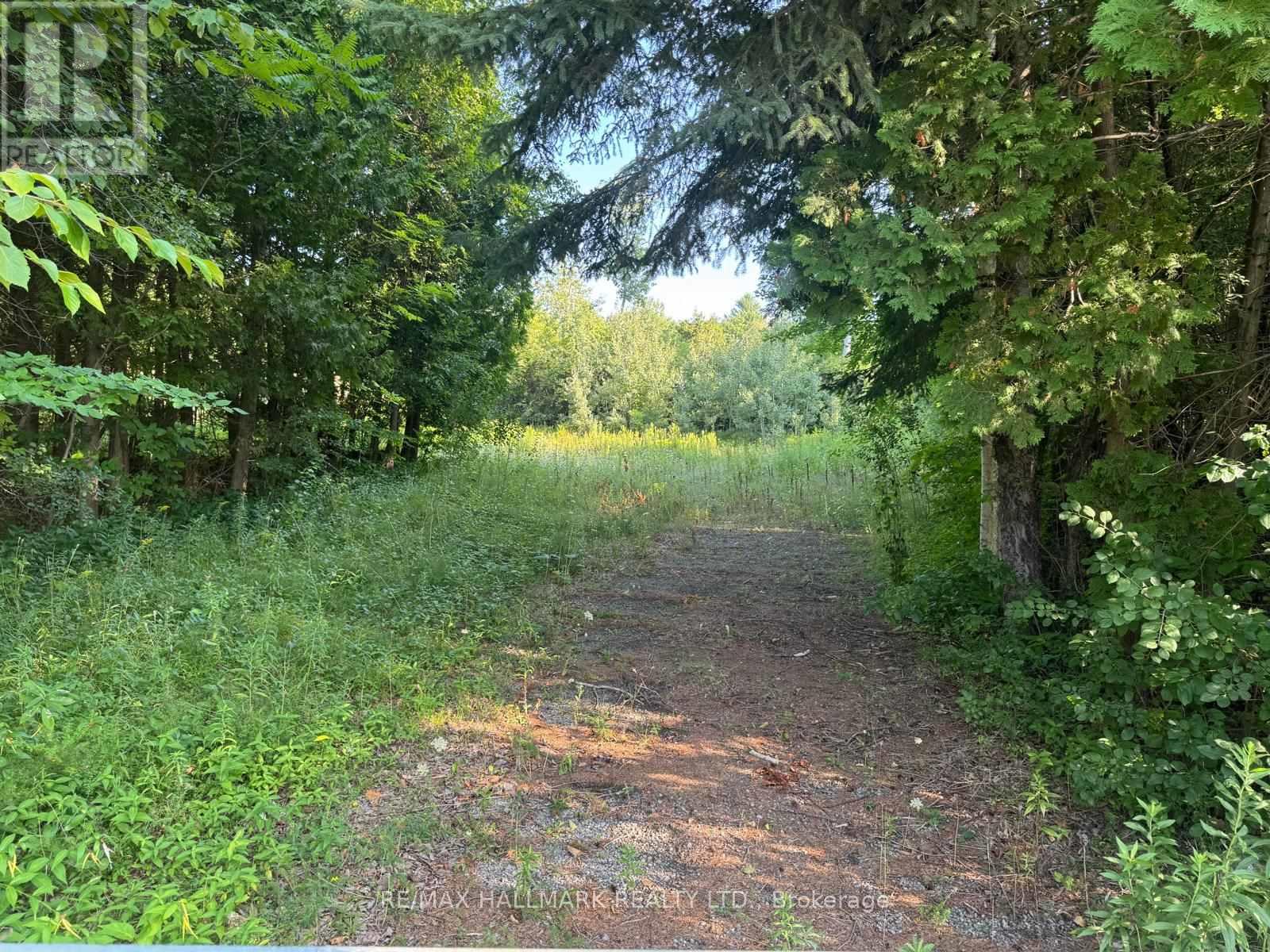 780 Taunton Road E, Whitby, Ontario  L1R 3L6 - Photo 3 - E12355257