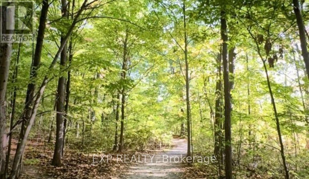 525 - 395 Dundas Street W, Oakville, Ontario L6M 5R8 - Photo 44 - W12515260