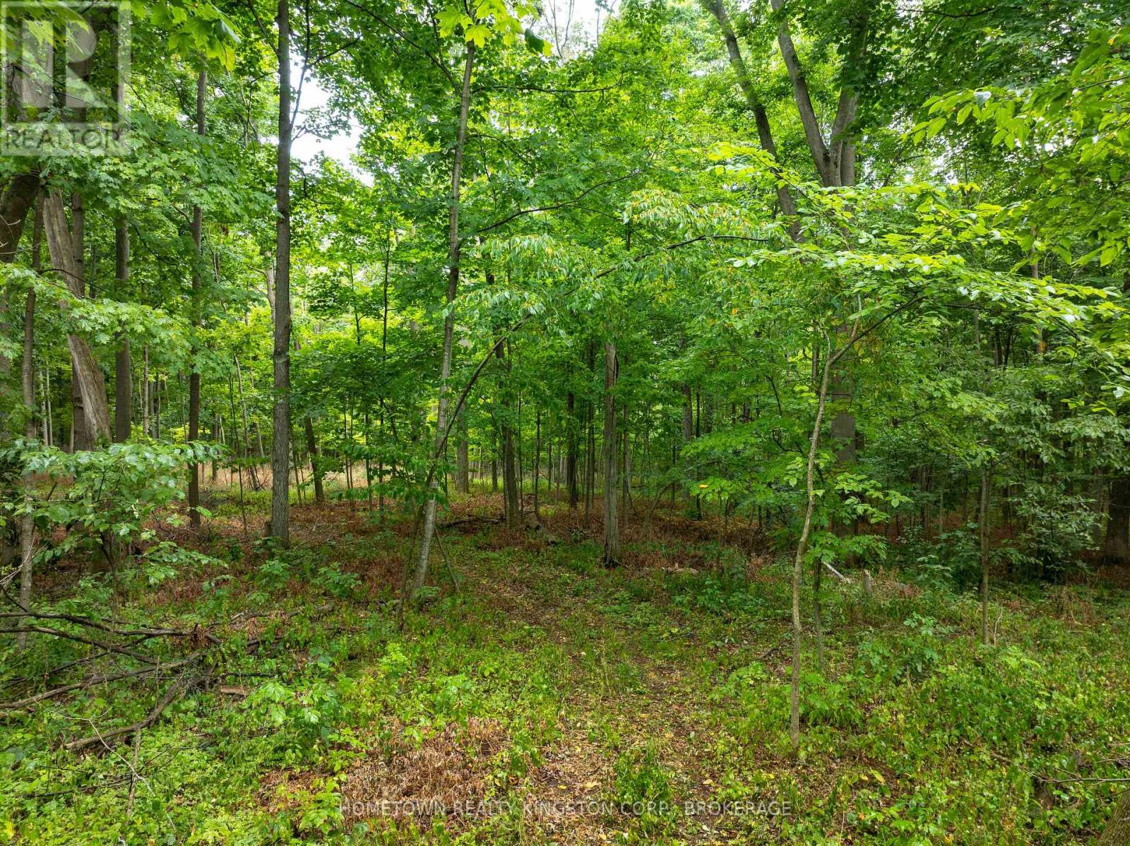 2435 Quabbin Road, Kingston, Ontario  K0H 2H0 - Photo 7 - X12561868