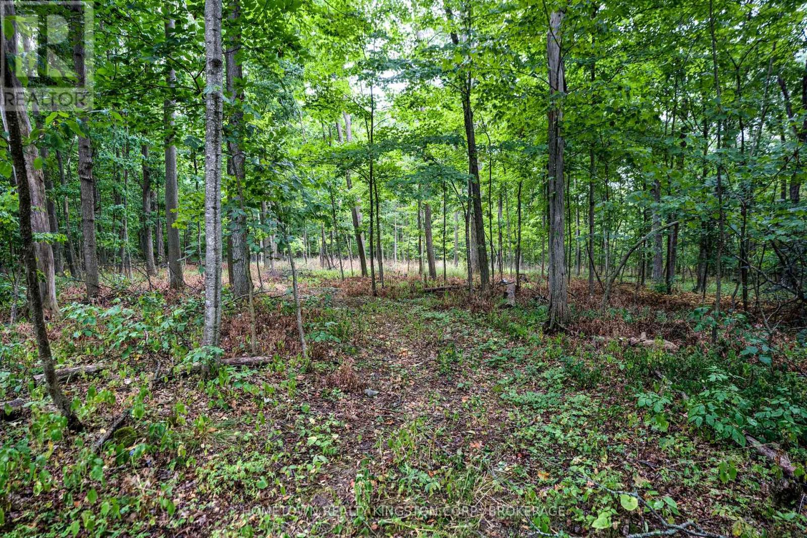 2435 Quabbin Road, Kingston, Ontario  K0H 2H0 - Photo 8 - X12561868