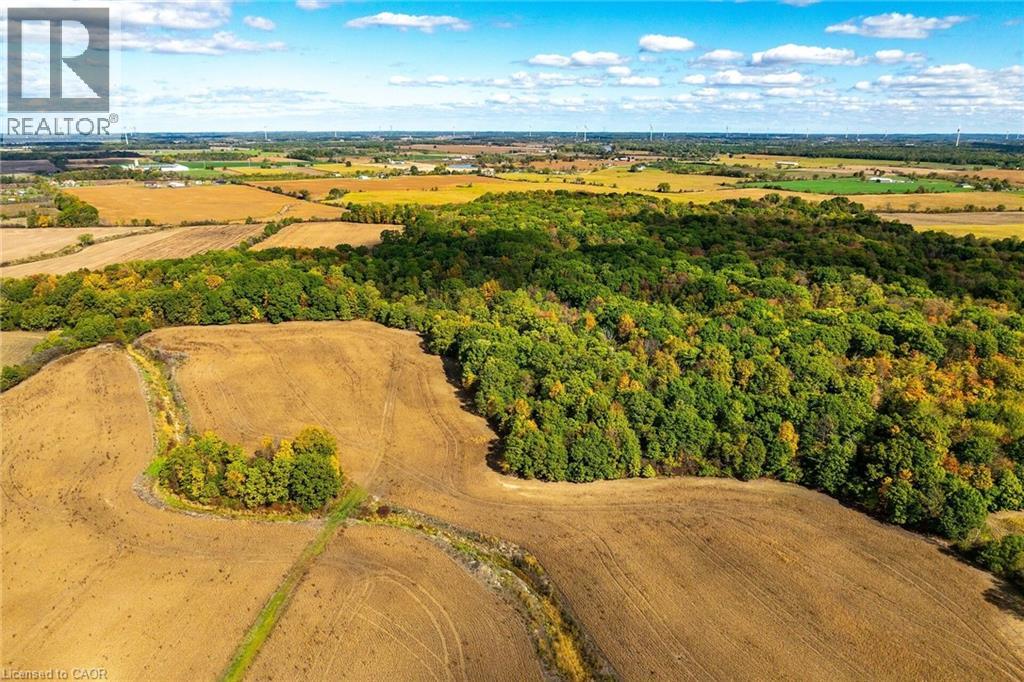 162 Young Road, Dunnville, Ontario  N1A 2W7 - Photo 11 - 40778060