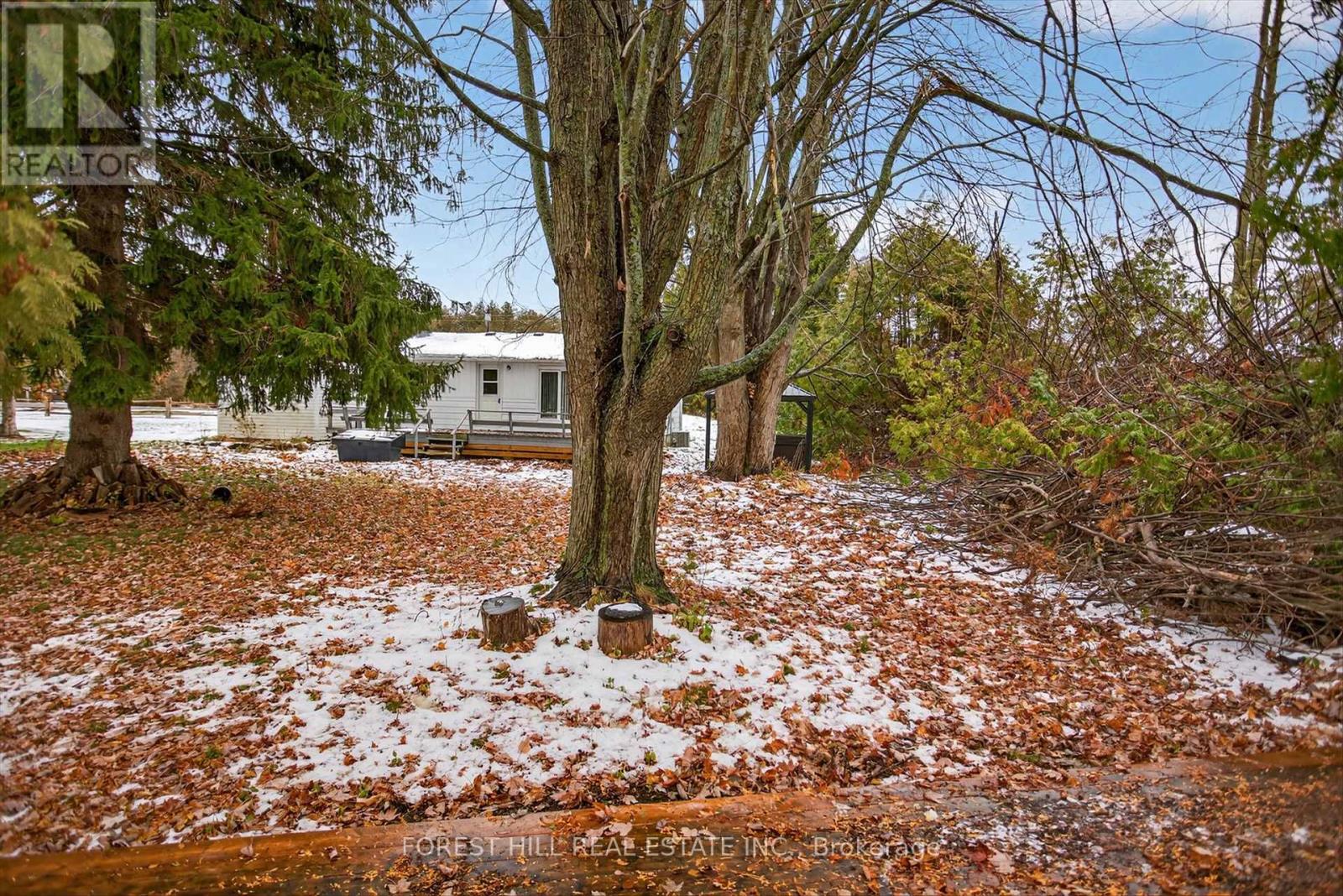 69 Blythe Shore Road, Kawartha Lakes, Ontario  K0M 1N0 - Photo 31 - X12561994