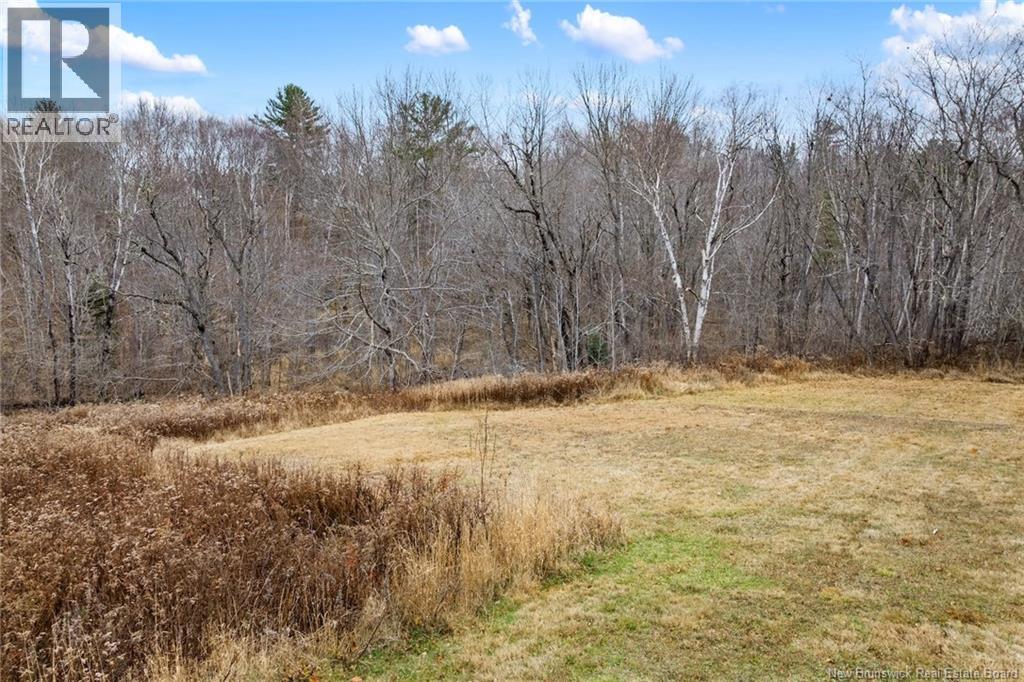 71 Chestnut Street, Minto, New Brunswick  E4B 3L4 - Photo 25 - NB130397