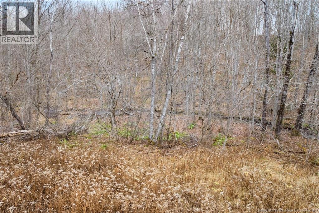 71 Chestnut Street, Minto, New Brunswick  E4B 3L4 - Photo 29 - NB130397