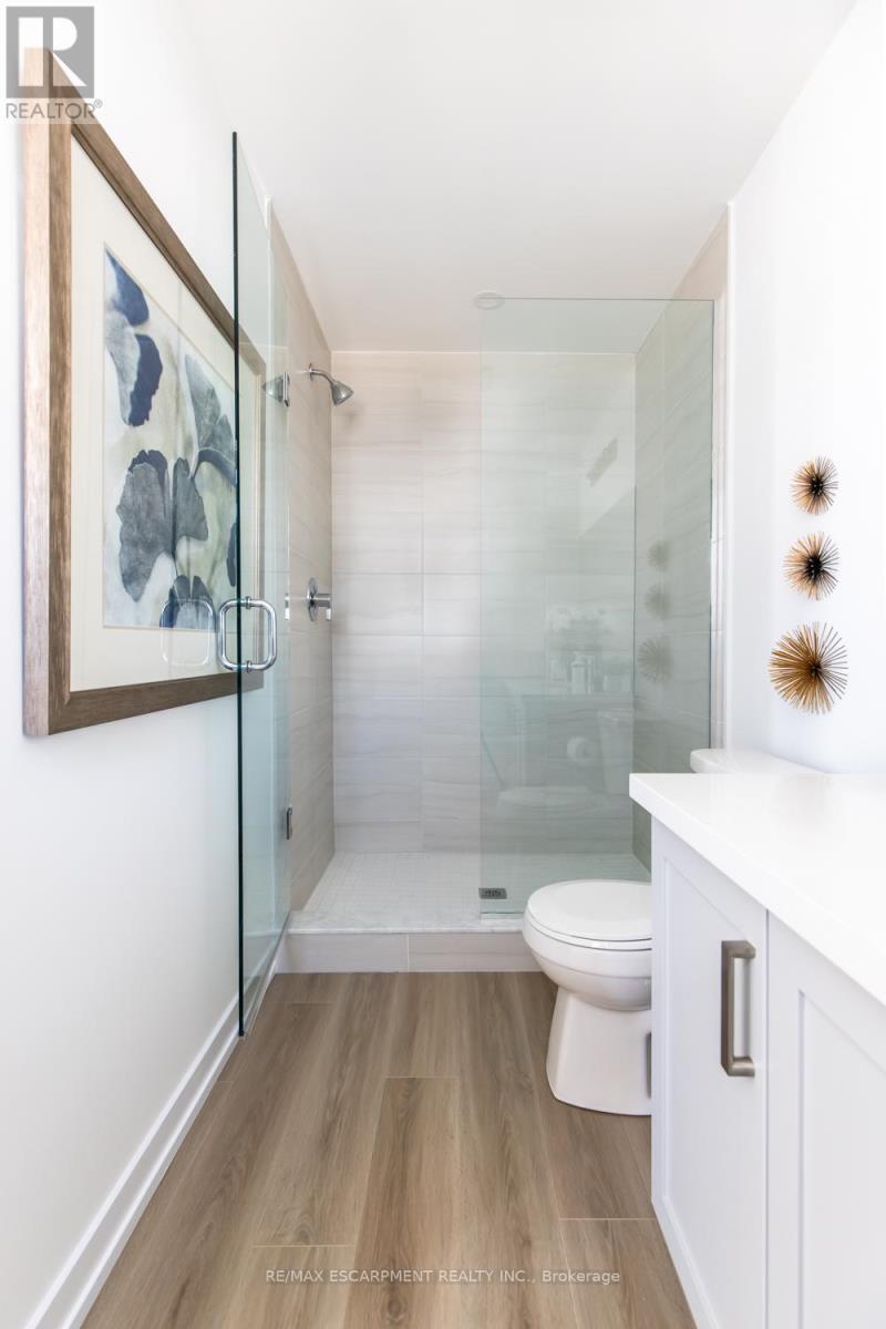 205 Burke Street, Hamilton, Ontario  L0R 2H7 - Photo 27 - X12108851