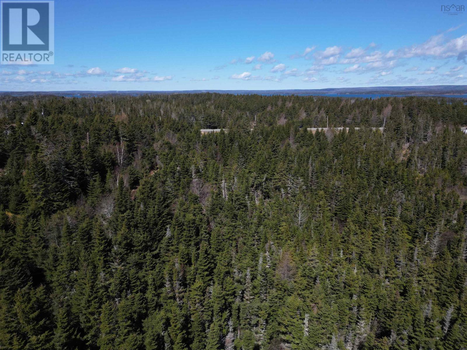 Lot Highway 320, D'escousse, Nova Scotia  B0E 1K0 - Photo 7 - 202522600