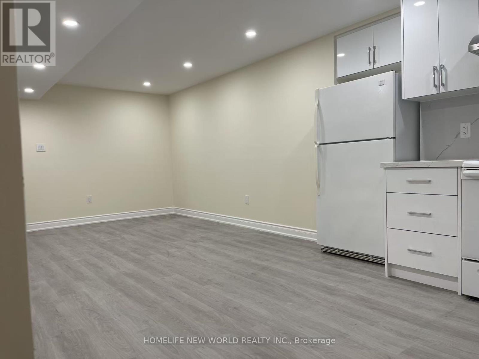 (Basement) - 356 Coachwhip Trail, Newmarket, Ontario  L3X 2R2 - Photo 9 - N12562348