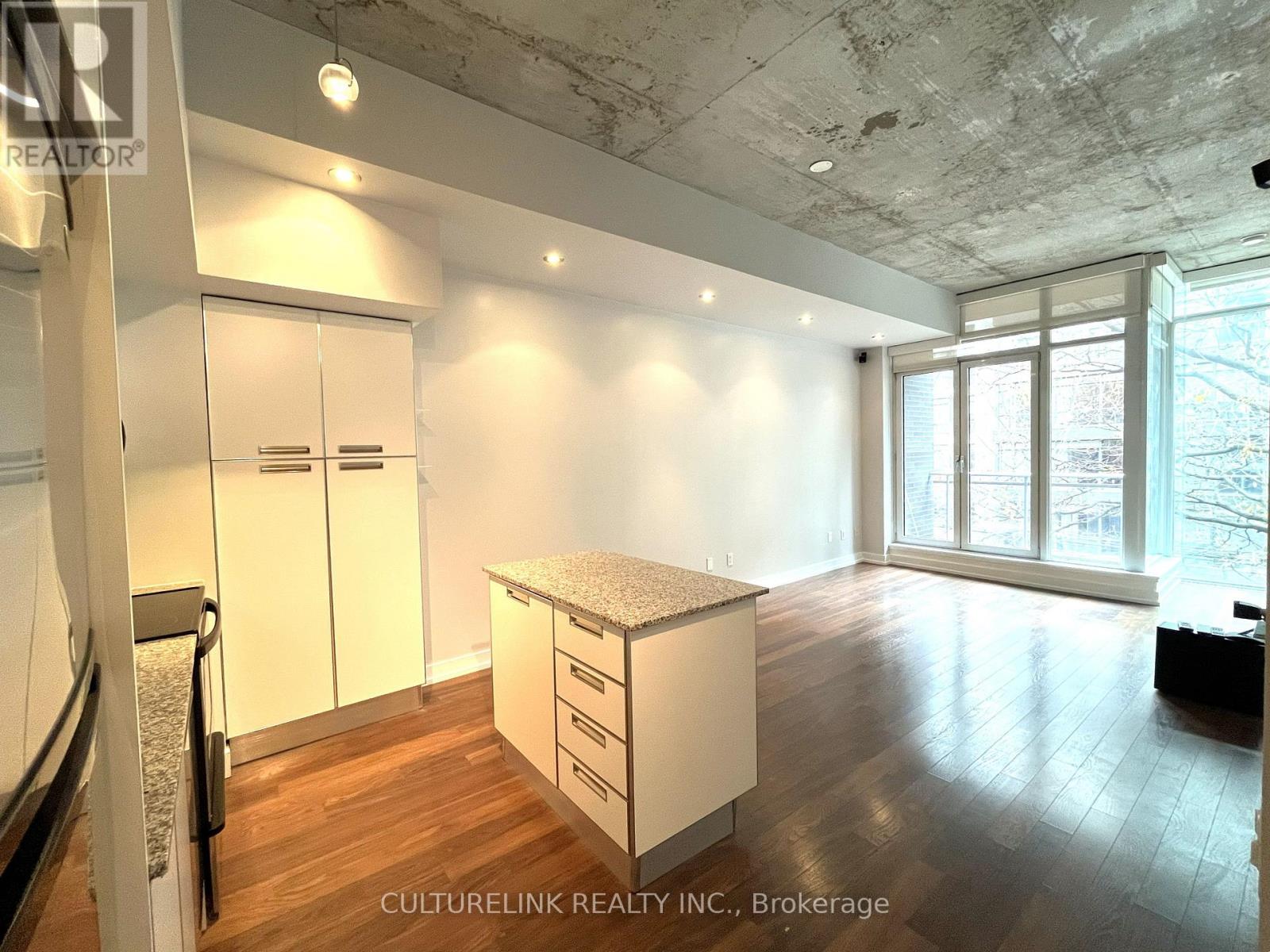 301 - 20 Stewart Street, Toronto, Ontario  M5V 1H6 - Photo 4 - C12562426