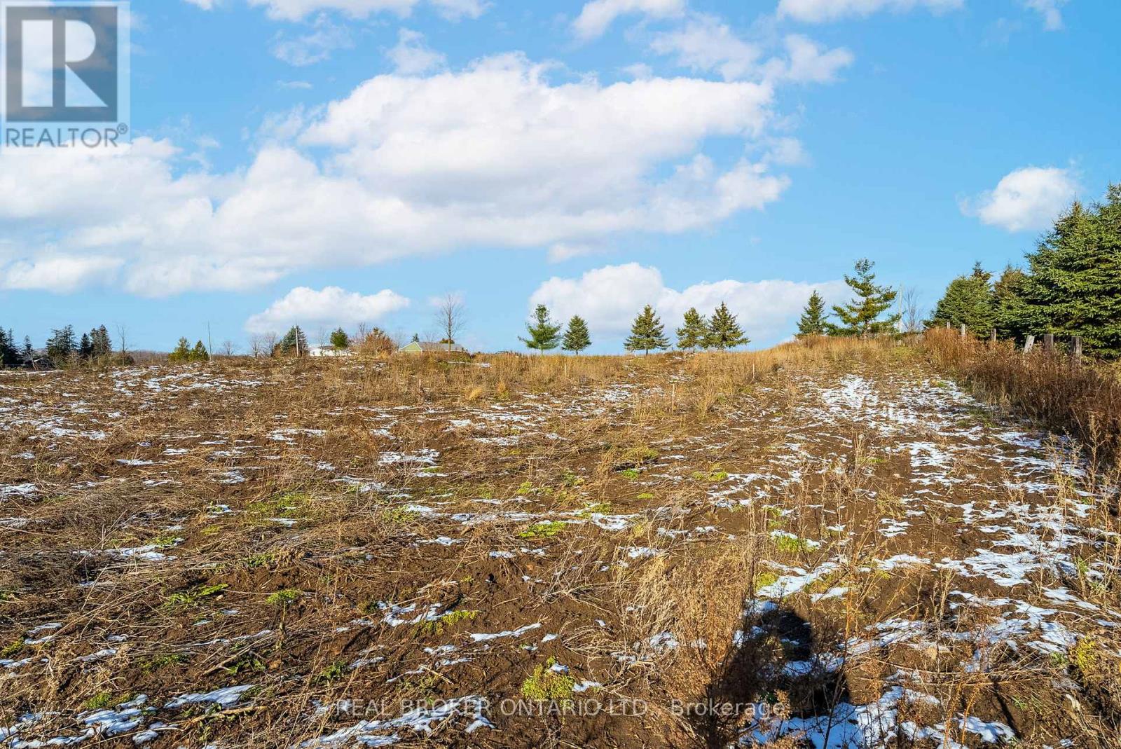 6449 12 13 Side Road, Clearview, Ontario  L0M 1N0 - Photo 35 - S12562460