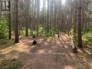 164 Baillie Avenue, Ottawa, Ontario  K0A 3M0 - Photo 28 - X12543334