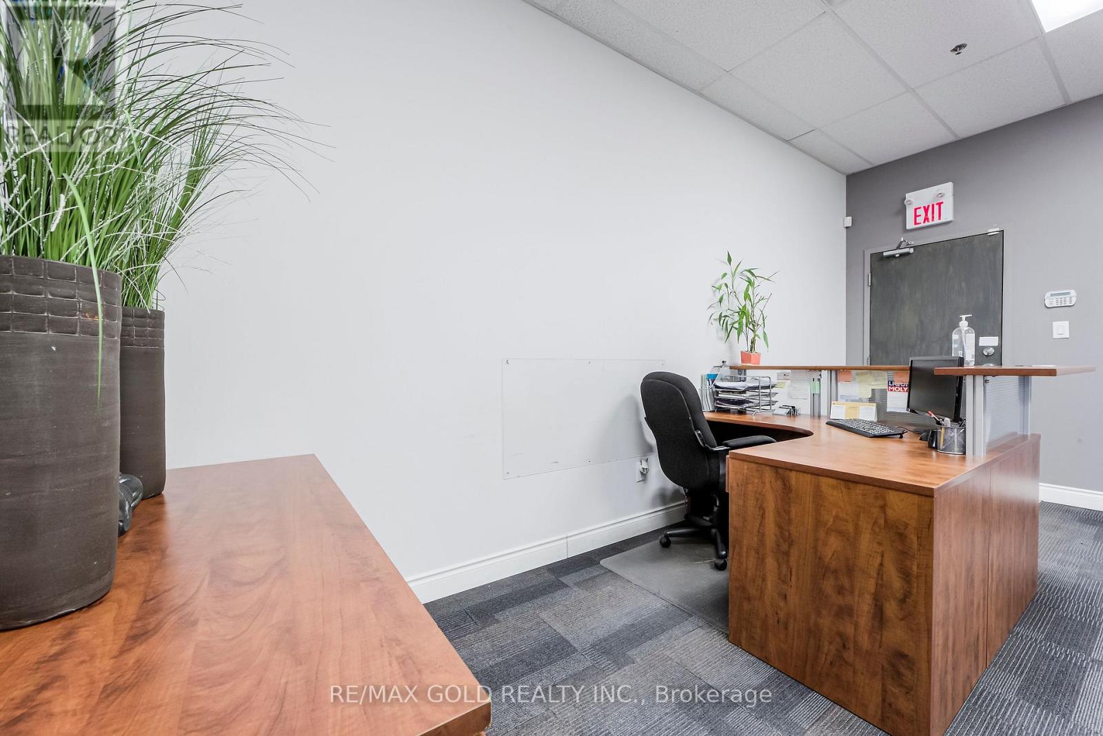 207 - 2970 Drew Road, Mississauga, Ontario  L4T 0A6 - Photo 5 - W12562546