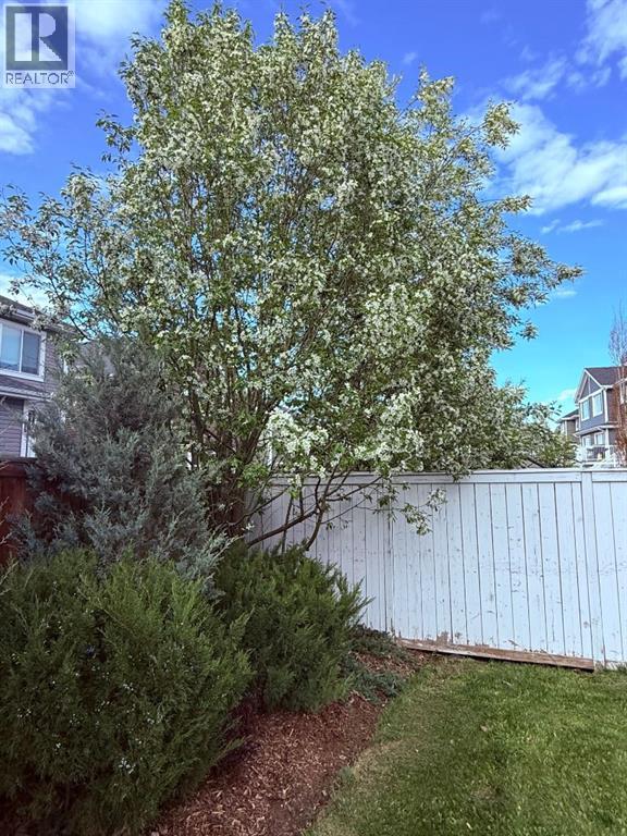 786 River Heights Crescent, Cochrane, Alberta  T4C 0J4 - Photo 15 - A2270385