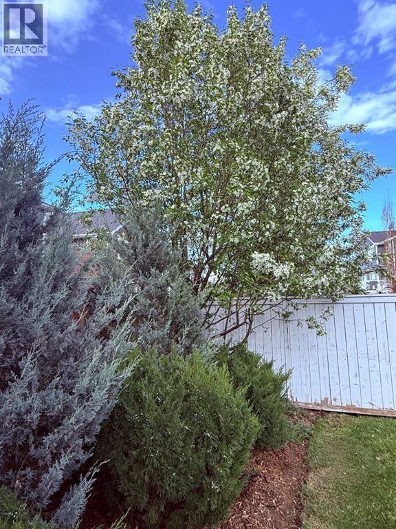 786 River Heights Crescent, Cochrane, Alberta  T4C 0J4 - Photo 18 - A2270385