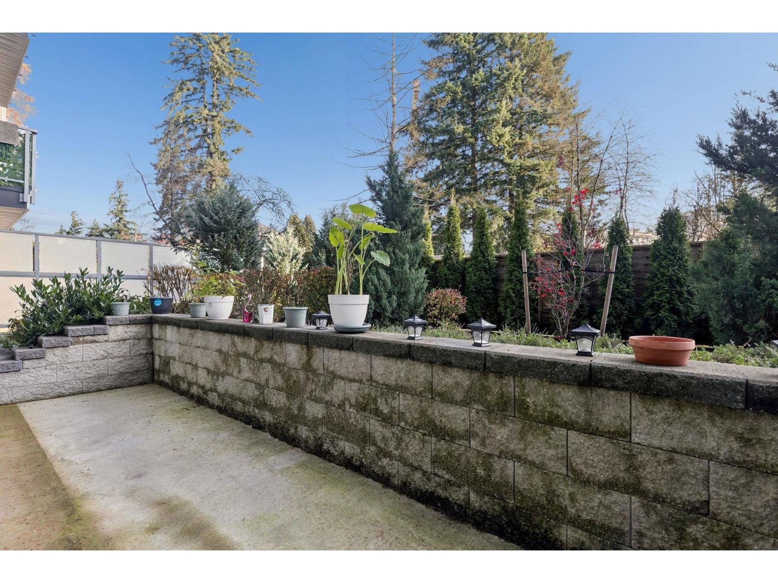 124 10838 Whalley Boulevard, Surrey, British Columbia  V3R 0G8 - Photo 12 - R3068577