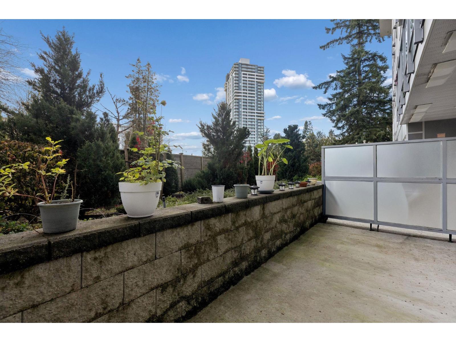 124 10838 Whalley Boulevard, Surrey, British Columbia  V3R 0G8 - Photo 11 - R3068577