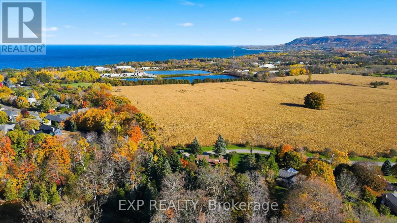 164 Arthur Taylor Lane, Blue Mountains, Ontario  N0H 1J0 - Photo 47 - X12562744