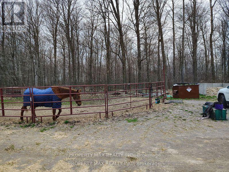 6600&6680 Best Road, Clarington, Ontario  L0B 1M0 - Photo 46 - E12561158