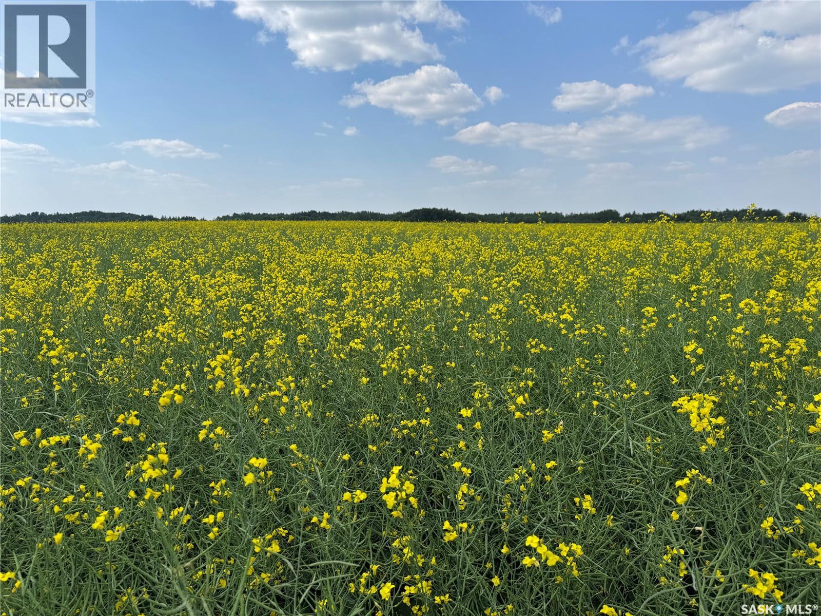 3 Quarters With Yard Site Near Endeavour, Endeavour, Saskatchewan  S0A 0A2 - Photo 22 - SK024425