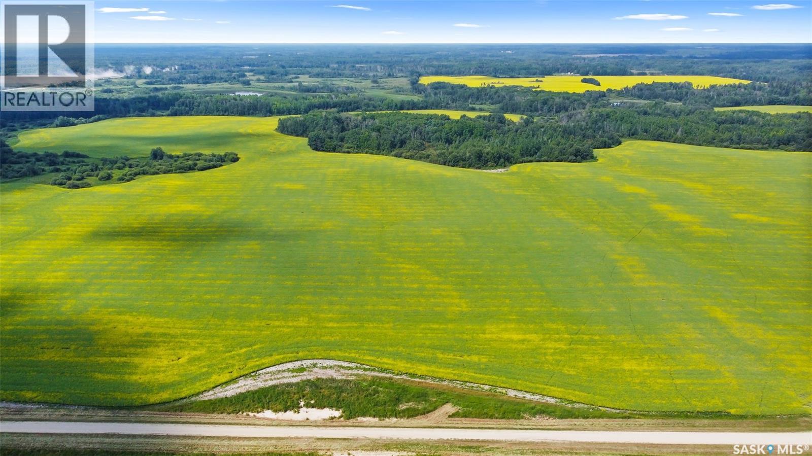 3 Quarters With Yard Site Near Endeavour, Endeavour, Saskatchewan  S0A 0A2 - Photo 6 - SK024425