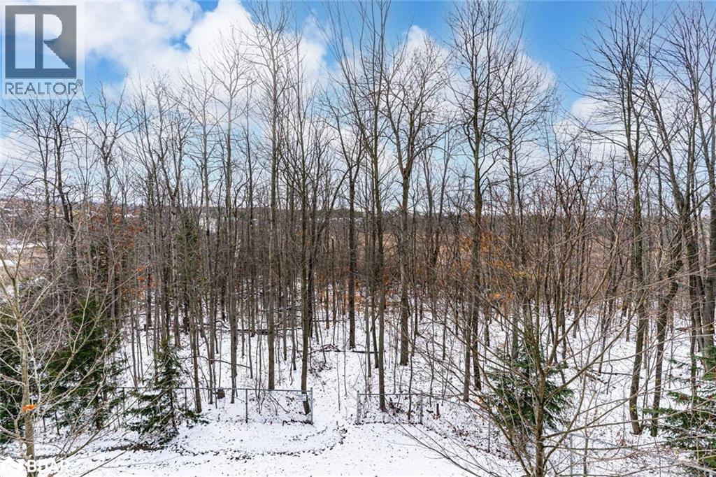 44 Ferndale Drive S Unit# 212, Barrie, Ontario  L4N 2V1 - Photo 15 - 40788397