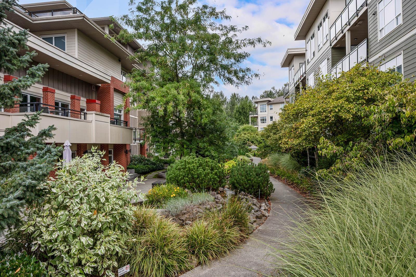 E106 20211 66 Avenue, Langley, British Columbia  V2Y 0L4 - Photo 27 - R3068876