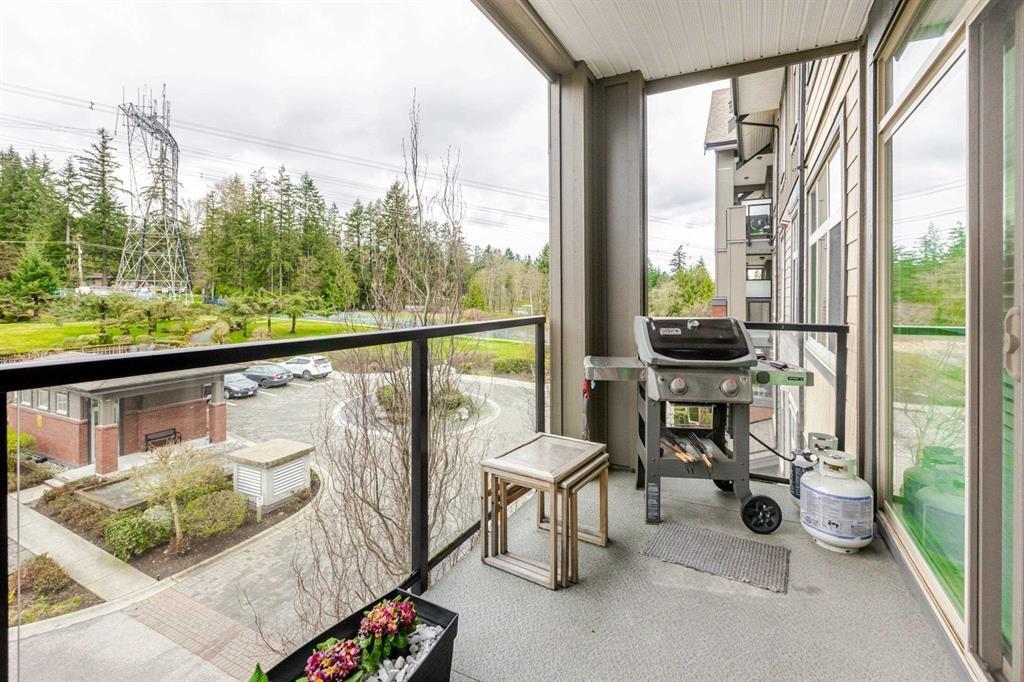 411 2855 156 Street, Surrey, British Columbia V3Z 3Y3 - Photo 28 - R3068887