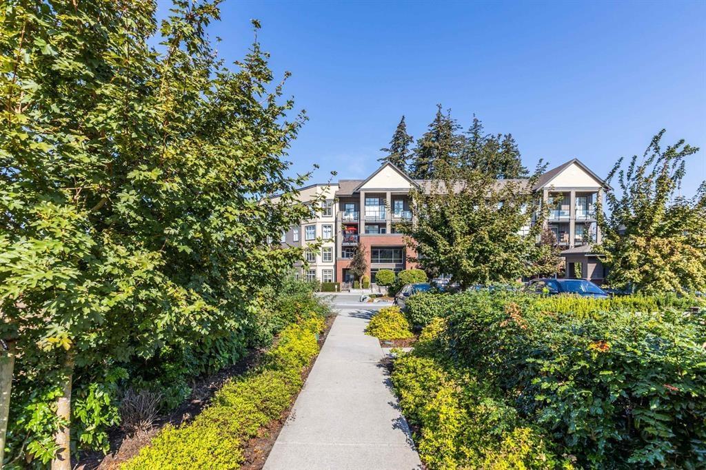 411 2855 156 Street, Surrey, British Columbia V3Z 3Y3 - Photo 29 - R3068887