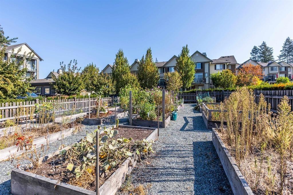 411 2855 156 Street, Surrey, British Columbia V3Z 3Y3 - Photo 30 - R3068887