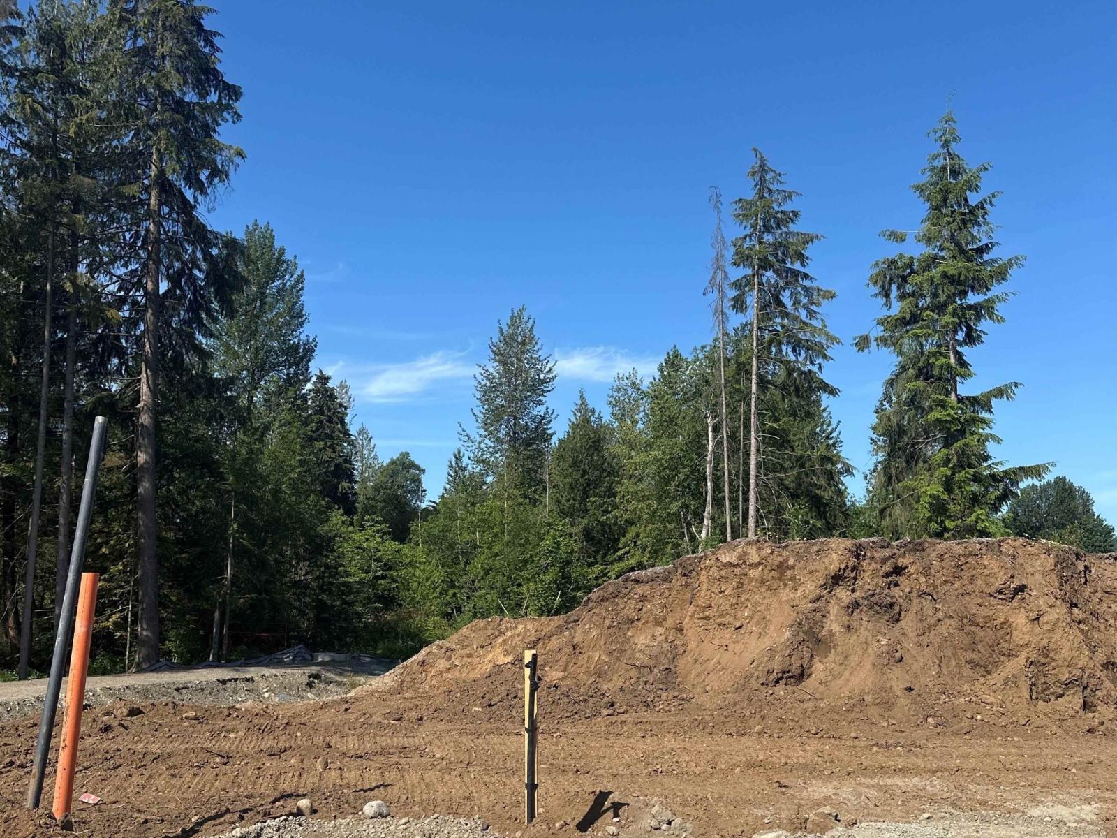 8729 Slack Street, Mission, British Columbia  V2V 6X9 - Photo 3 - R3068781