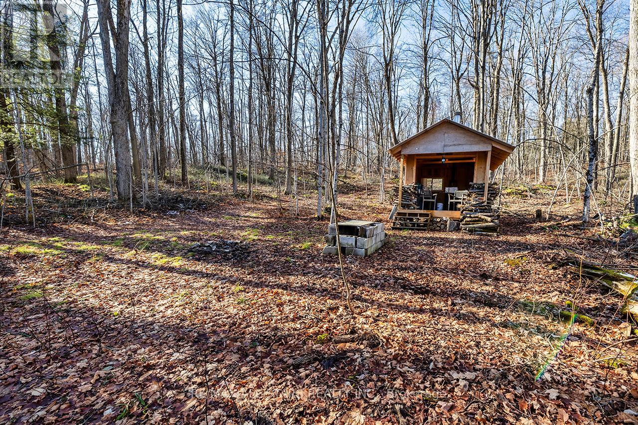 1980 Concession Rd 5 Road, Brock, Ontario  L0C 1H0 - Photo 40 - N12562576