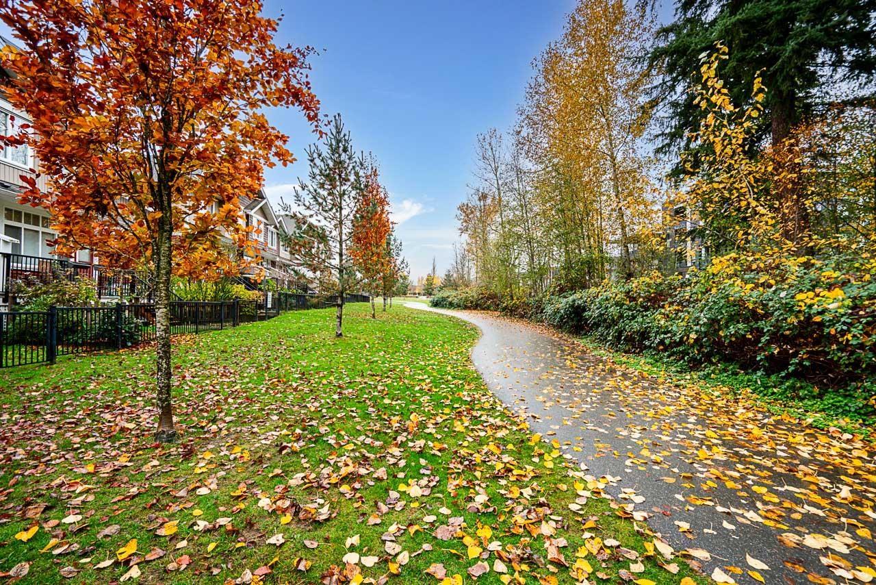 67 19455 65 Avenue, Surrey, British Columbia  V4N 0Z1 - Photo 37 - R3068490