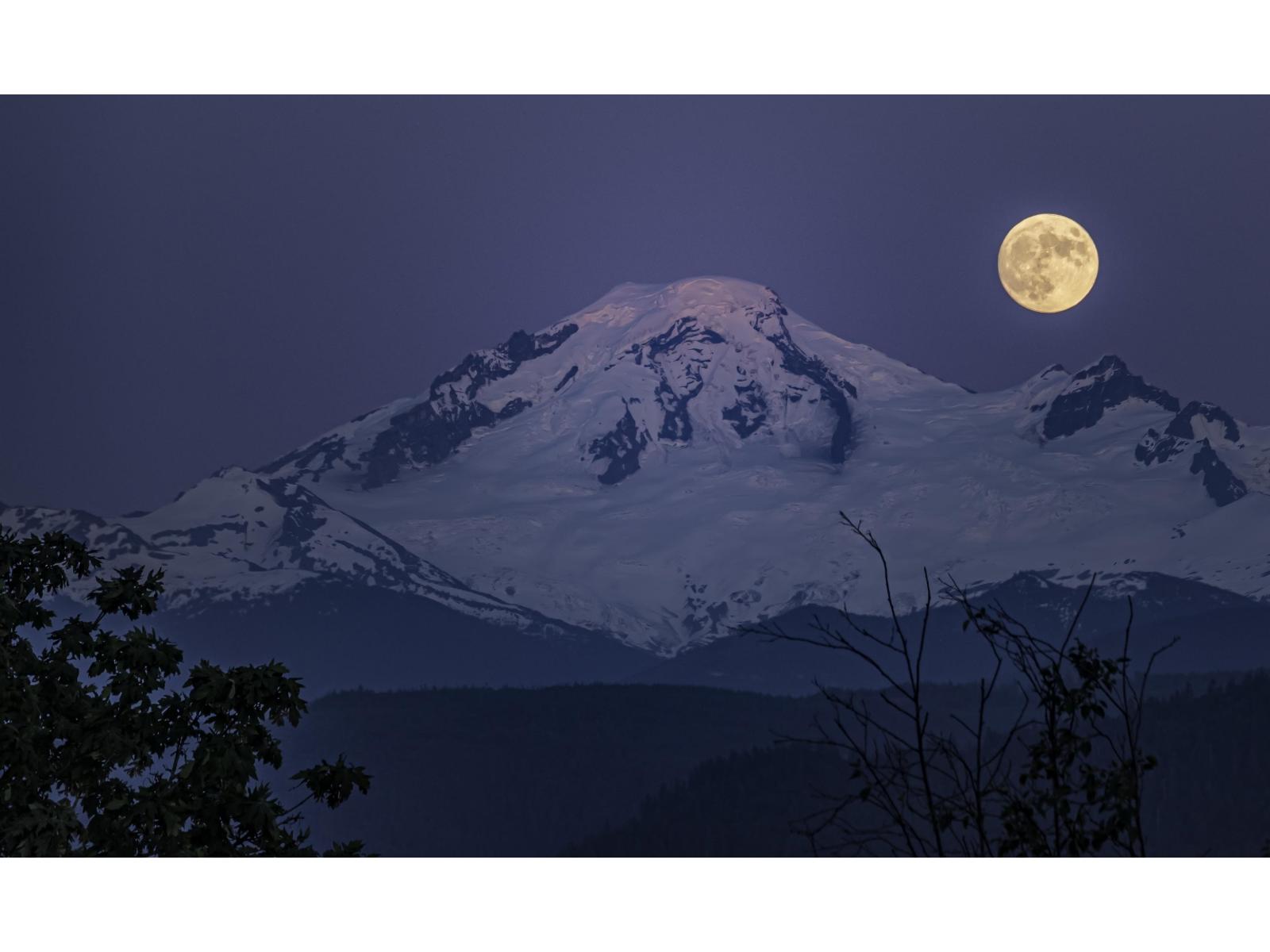 35 35931 Empress Drive, Abbotsford, British Columbia V3G 2M8 - Photo 28 - R3067661