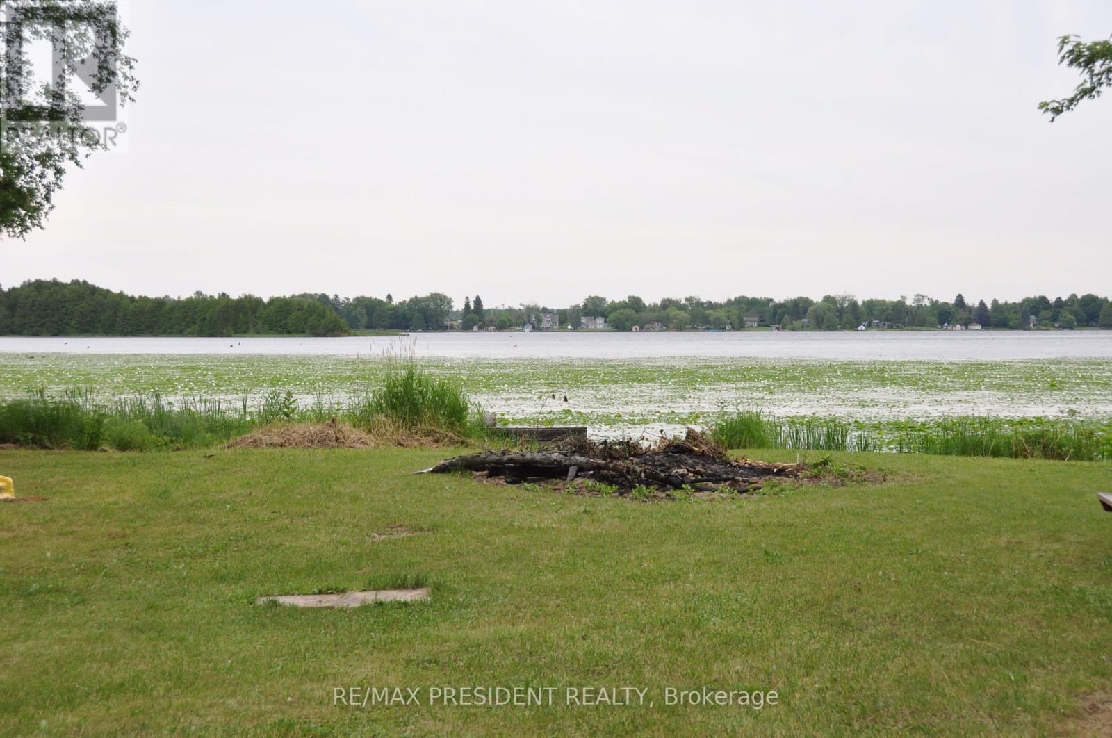 17 Cedar Bay Road, Kawartha Lakes, Ontario  L0K 1B0 - Photo 10 - X12563210