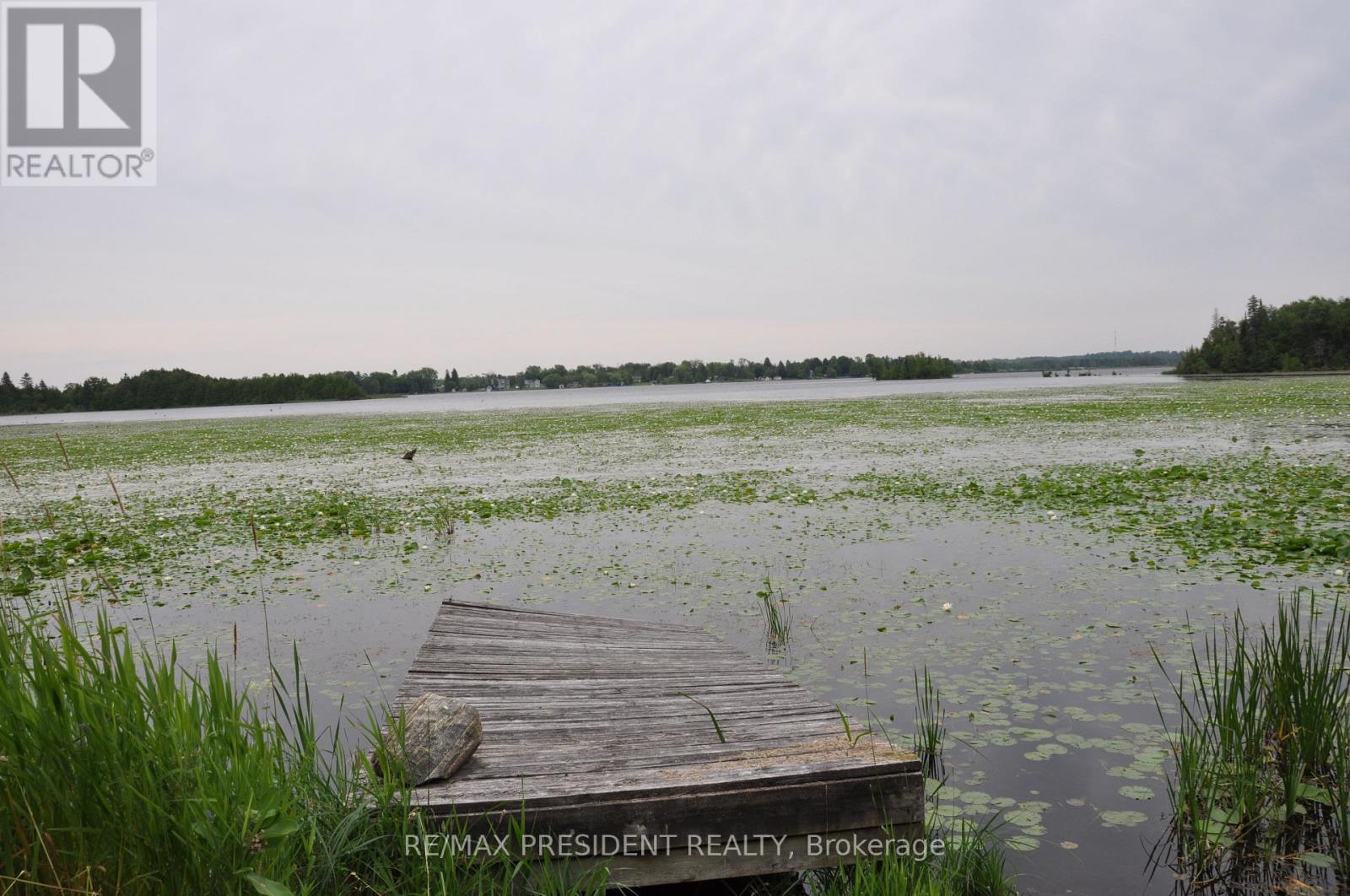17 Cedar Bay Road, Kawartha Lakes, Ontario  L0K 1B0 - Photo 14 - X12563210