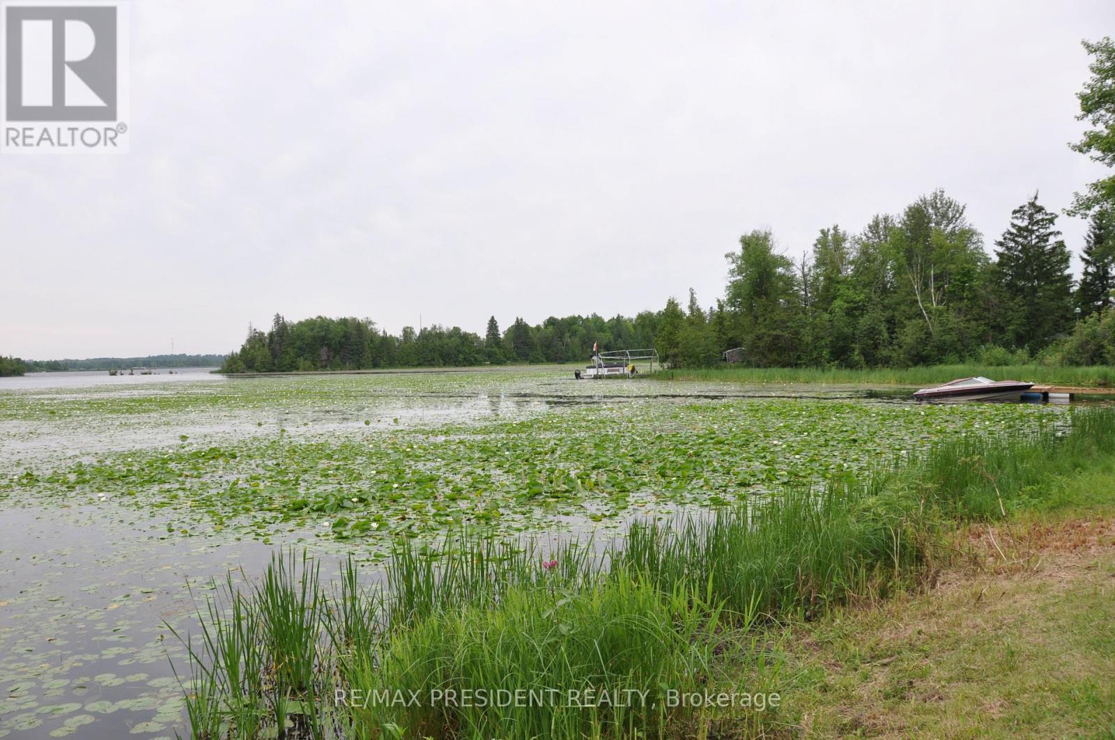 17 Cedar Bay Road, Kawartha Lakes, Ontario  L0K 1B0 - Photo 15 - X12563210