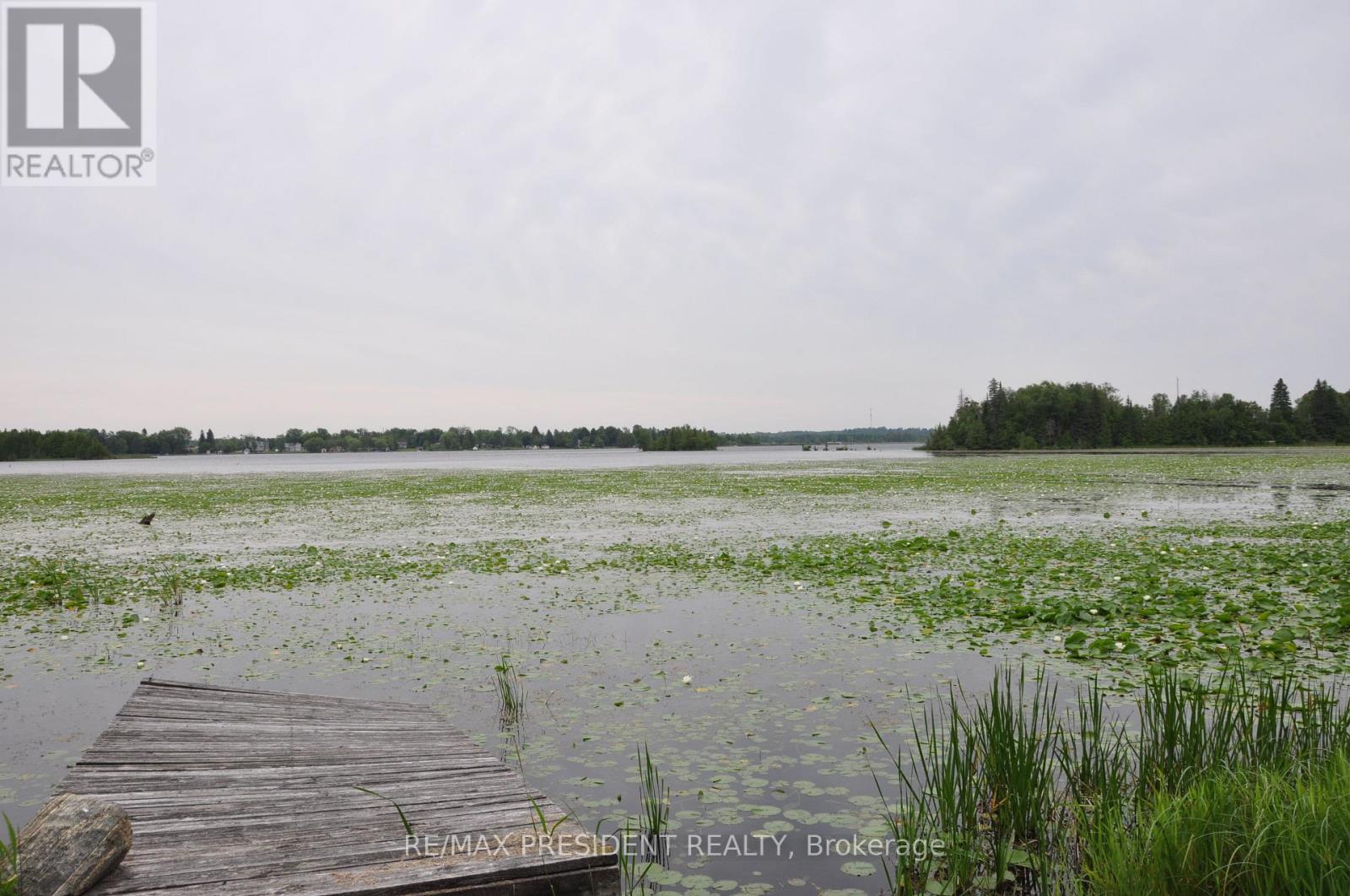 17 Cedar Bay Road, Kawartha Lakes, Ontario  L0K 1B0 - Photo 16 - X12563210