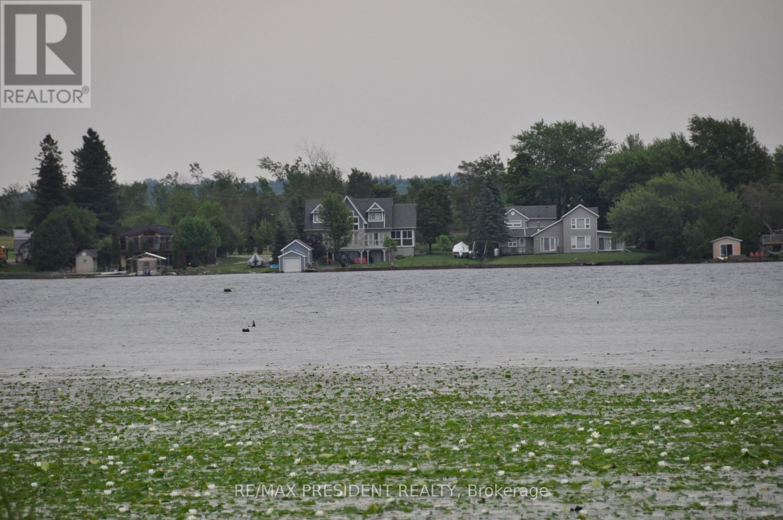 17 Cedar Bay Road, Kawartha Lakes, Ontario  L0K 1B0 - Photo 9 - X12563210