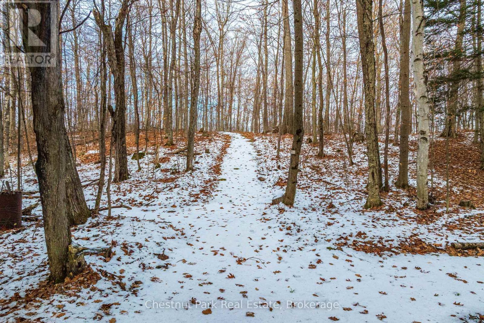 1555 Etwell Road, Huntsville, Ontario P1H 2J2 - Photo 48 - X12562148