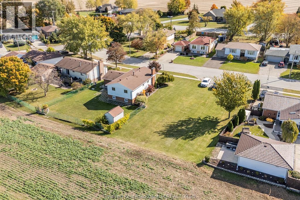 7152 William Street, Comber, Ontario  N0P 1J0 - Photo 4 - 25026692