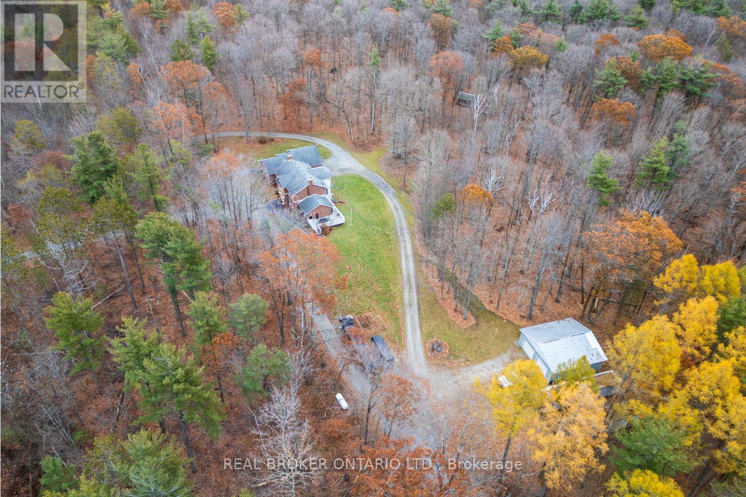 398 Sandy Hook Road, Kawartha Lakes, Ontario  L0A 1K0 - Photo 3 - X12563490