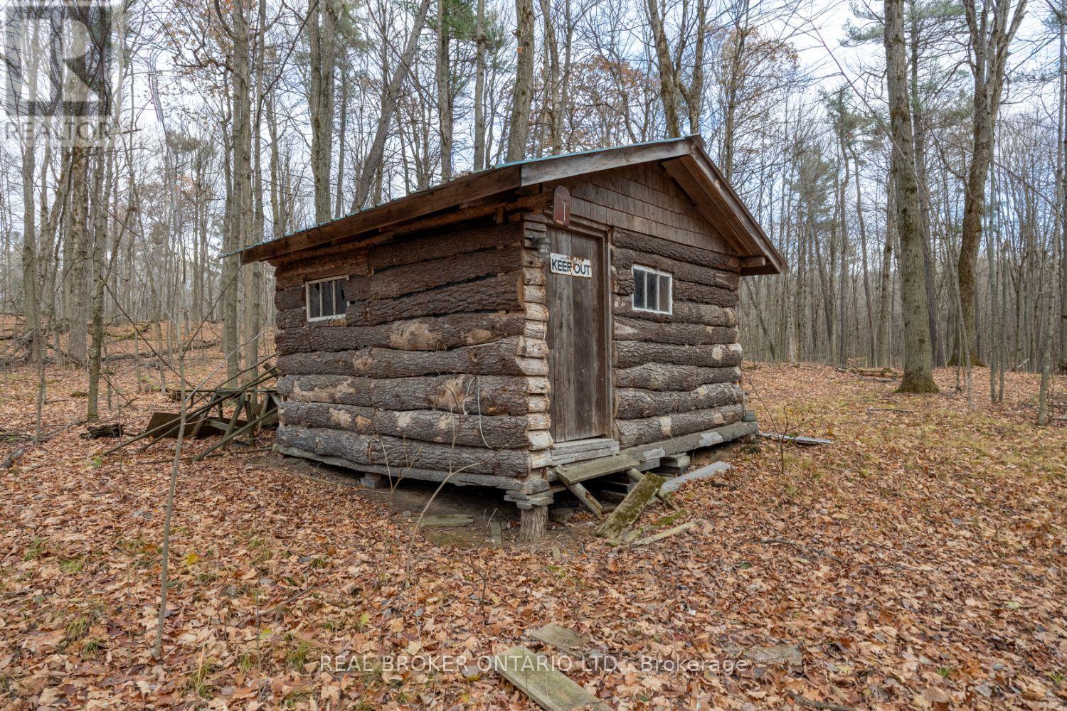 398 Sandy Hook Road, Kawartha Lakes, Ontario  L0A 1K0 - Photo 44 - X12563490