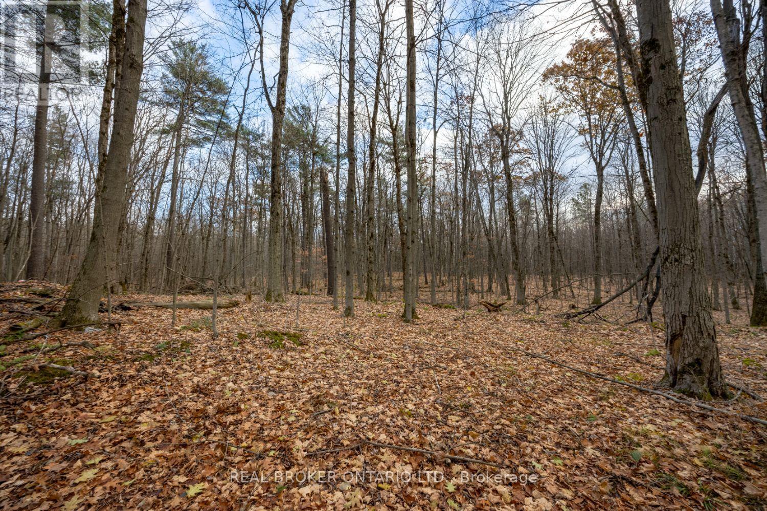 398 Sandy Hook Road, Kawartha Lakes, Ontario  L0A 1K0 - Photo 45 - X12563490