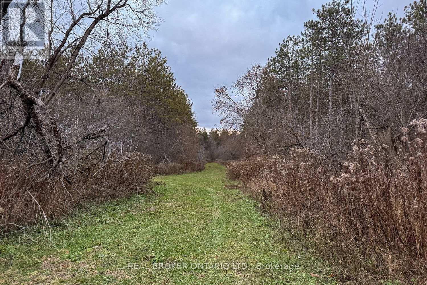 398 Sandy Hook Road, Kawartha Lakes, Ontario  L0A 1K0 - Photo 47 - X12563490