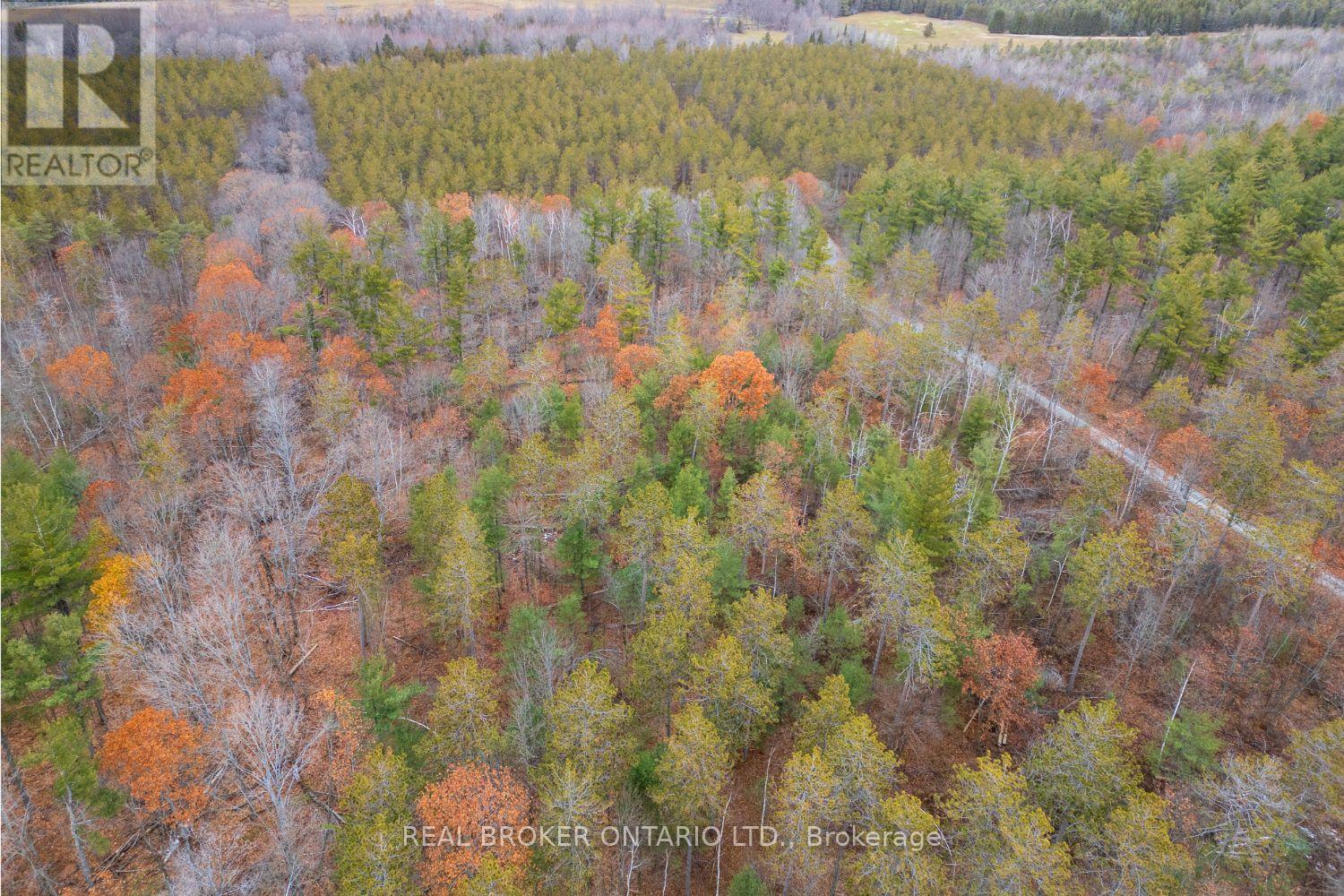 398 Sandy Hook Road, Kawartha Lakes, Ontario  L0A 1K0 - Photo 48 - X12563490