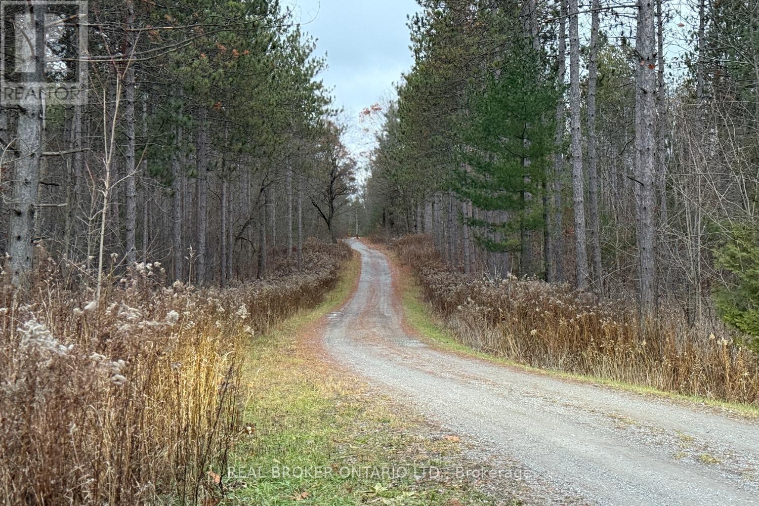 398 Sandy Hook Road, Kawartha Lakes, Ontario  L0A 1K0 - Photo 8 - X12563490