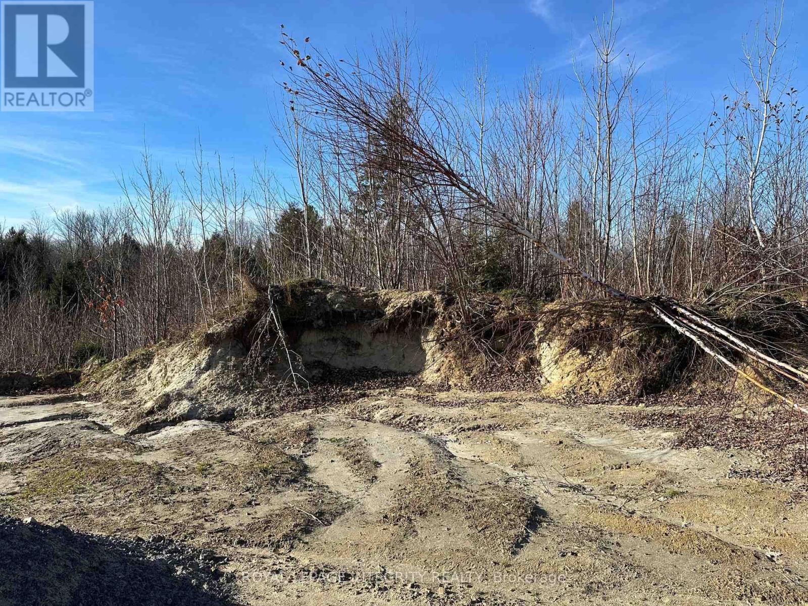 2281 Rollin Road, Clarence-Rockland, Ontario  K0A 3N0 - Photo 9 - X12563428