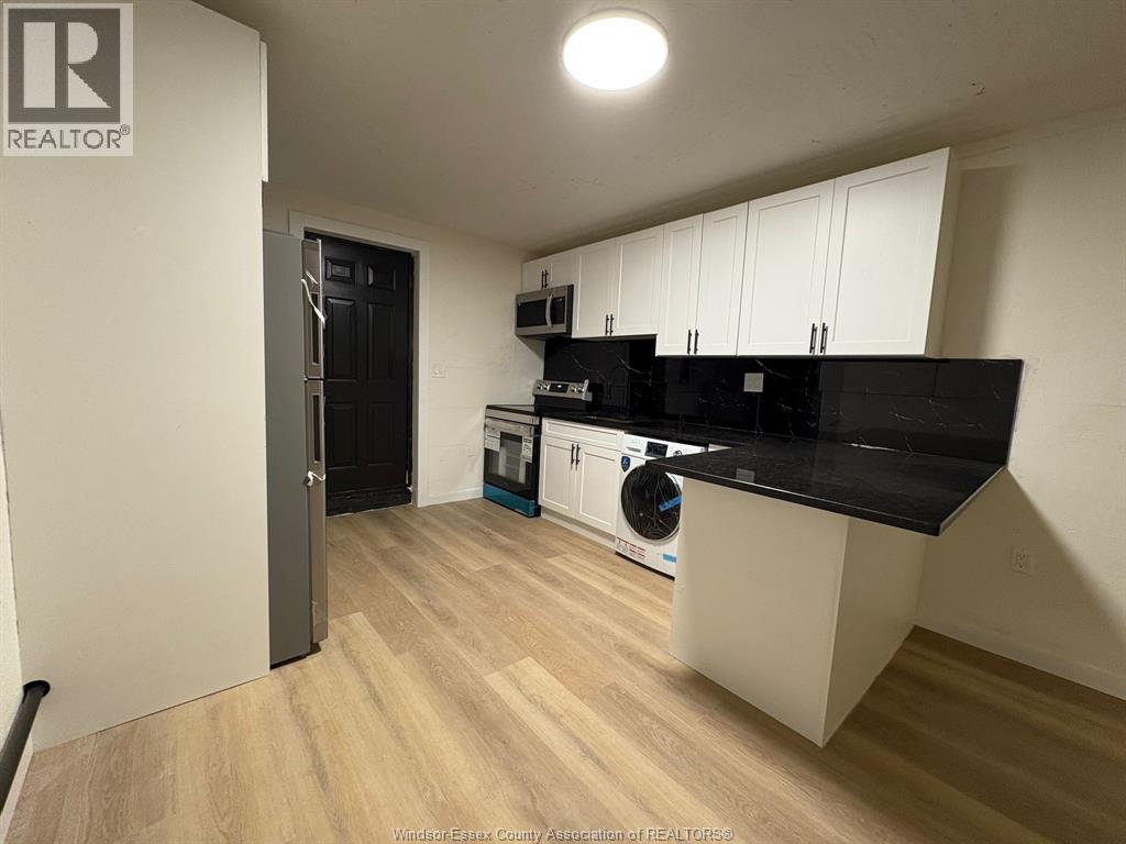 1374 Wyandotte Street East Unit# Rear, Windsor, Ontario  N9A 3K7 - Photo 3 - 25029107