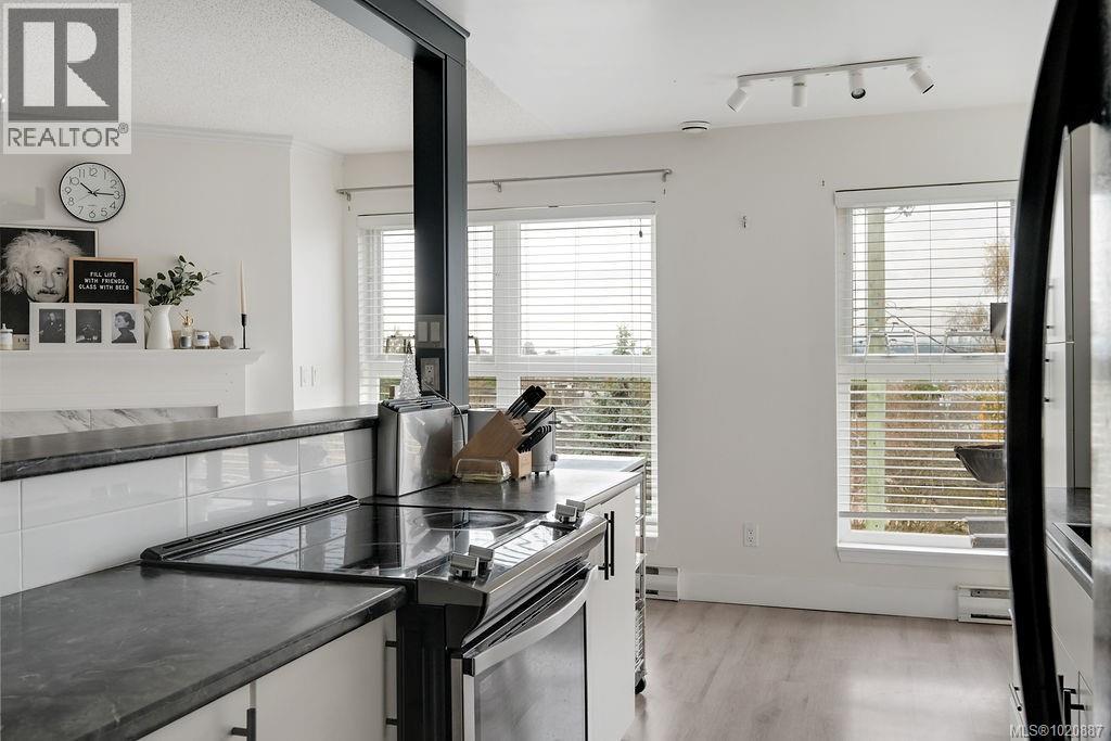 409 1201 Hillside Ave, Victoria, British Columbia  V8T 2B1 - Photo 16 - 1020887