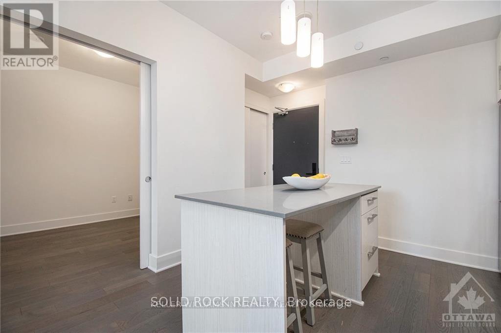 213 - 255 Bay Street, Ottawa, Ontario  K1R 5Z4 - Photo 19 - X12469865