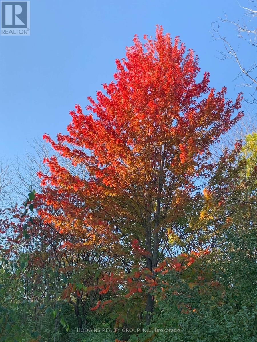 2286 Yorktown Circle, Mississauga, Ontario  L5M 5Y1 - Photo 27 - W12563528